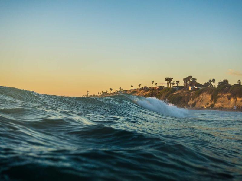 弥生会計起業開業お役立ち情報