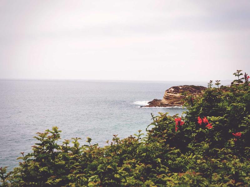 弥生会計 | 合同会社